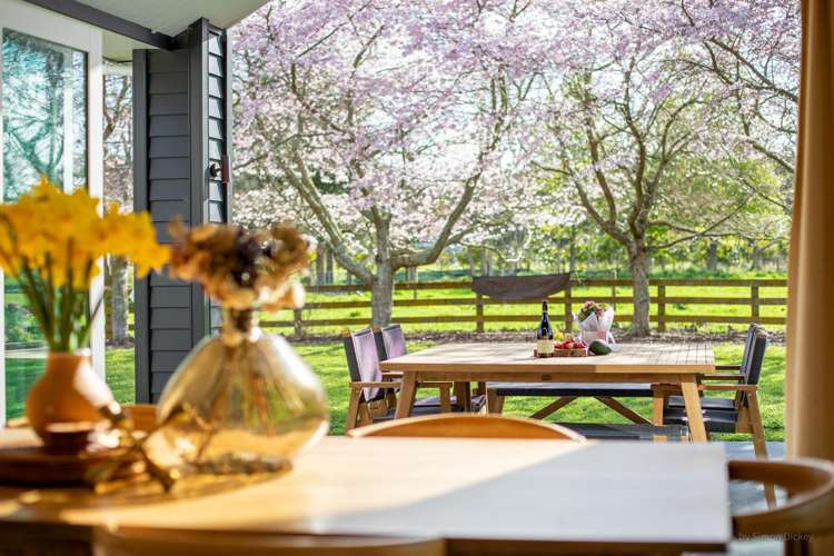 67d Davison Road Newstead_7