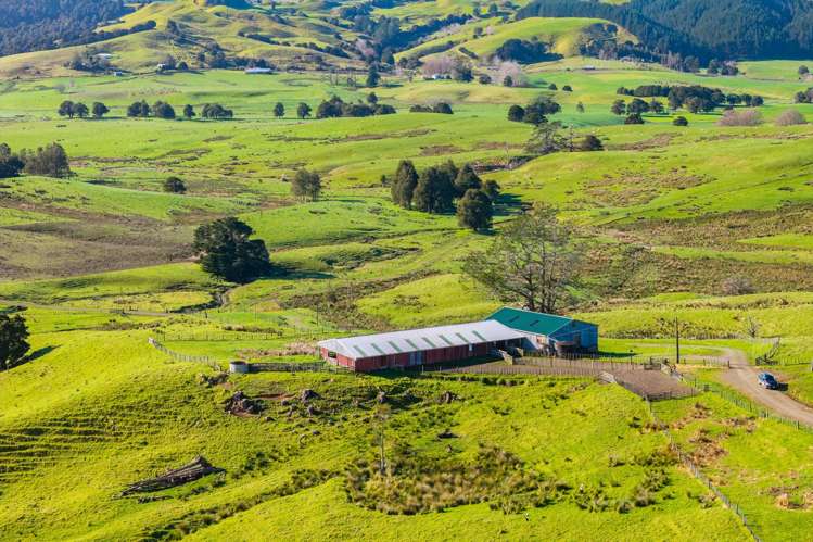 80 Harrison Road Waiotira_19