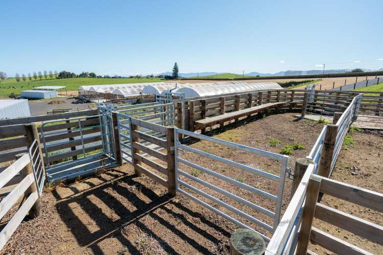 231A Morgan Road Matamata_12