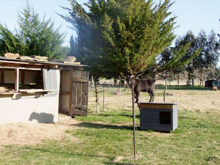 107 Waitahuna Gully Road Waitahuna_14