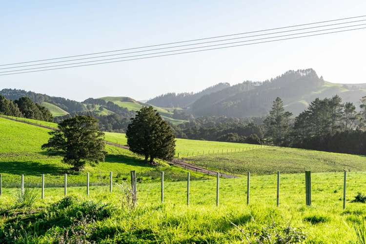 Millbrook Road Waipu_1