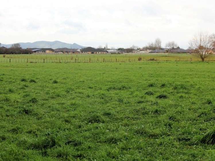 102 Laurent Road Cambridge_4