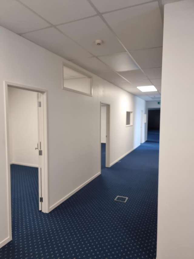 L1/637 Rosebank Road Avondale_3