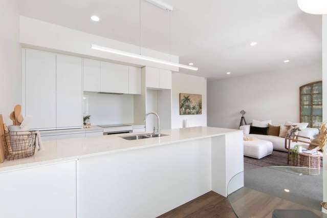 425 Murphys Road Flat Bush_2