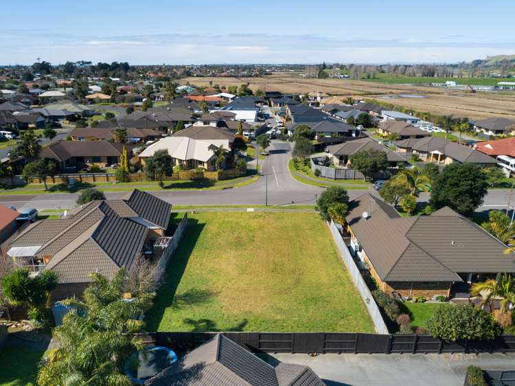 6 Palomino Place Papamoa_3