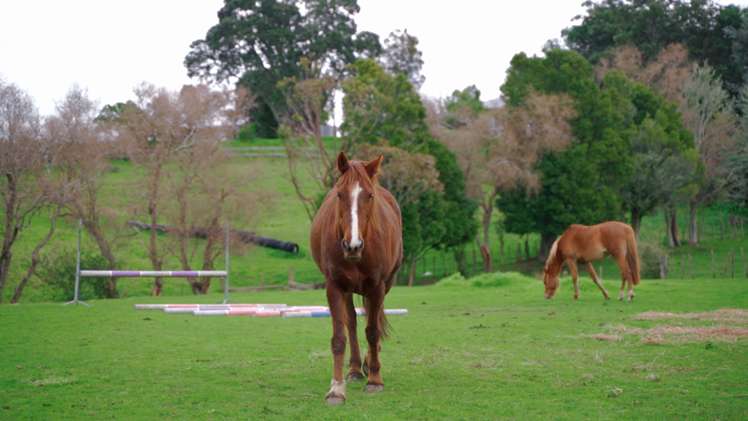 867 Whitford-Maraetai Road Beachlands_67