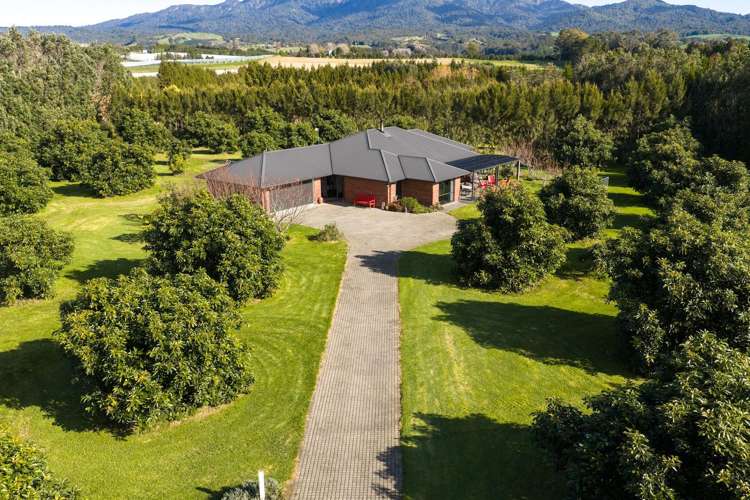 55 Pine Ridge Lane Aongatete_29