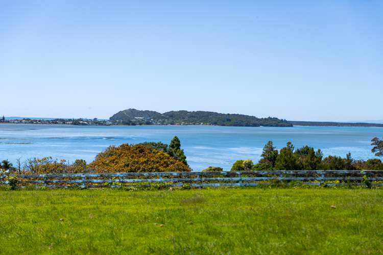 133a Athenree Road Athenree_18