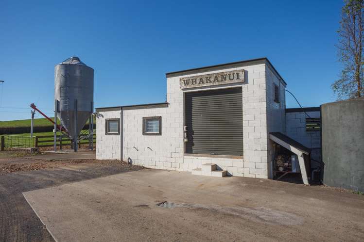 24 Waterworks Road Morrinsville_14