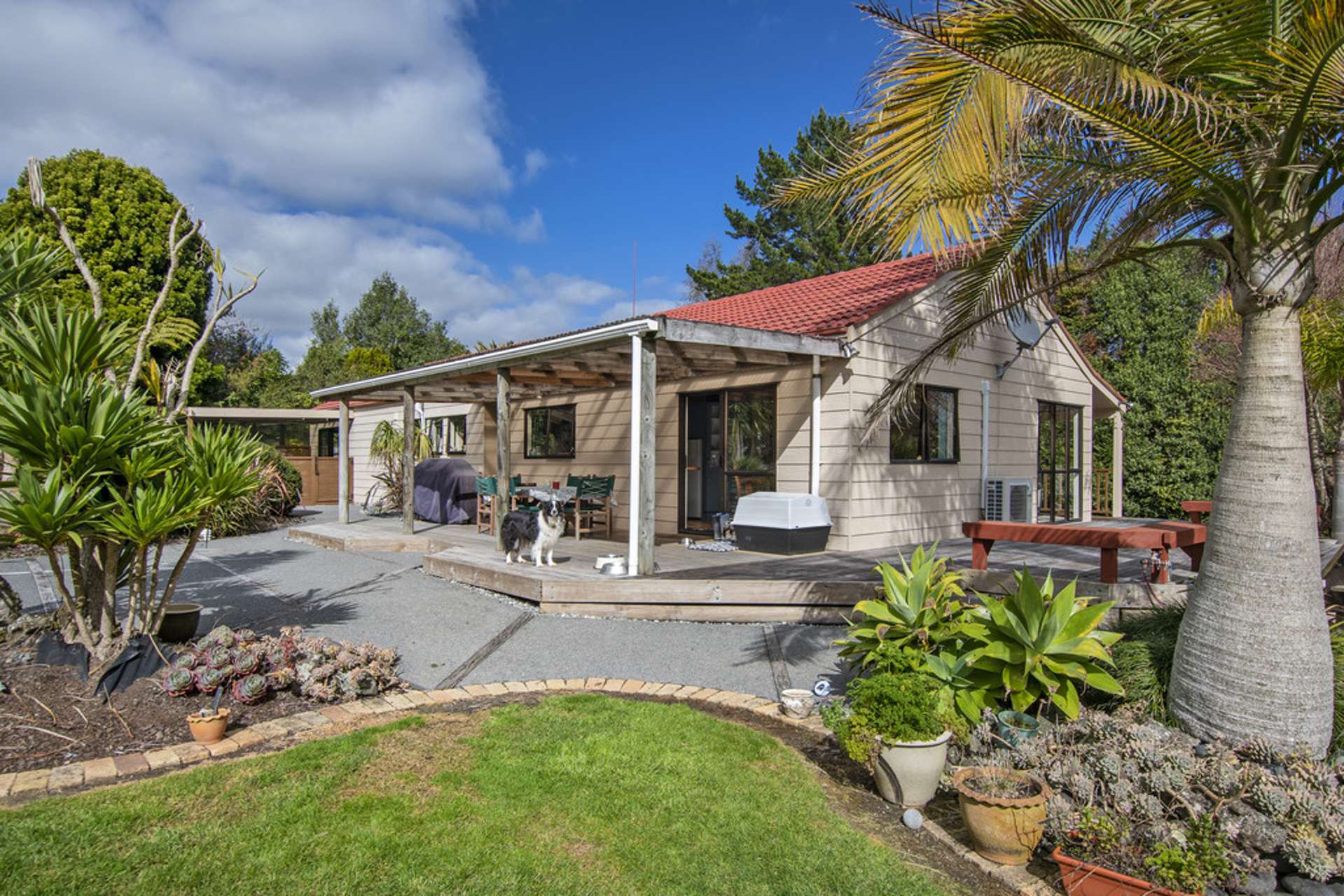 15 Jess Place (Pvt) Ruatangata_0