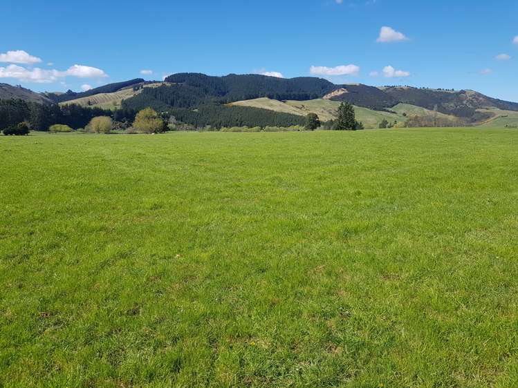 213 Toko Mouth Road Milton_7