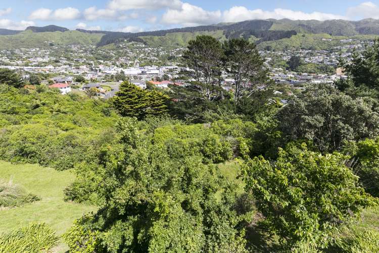 116 Woodman Drive Tawa_18