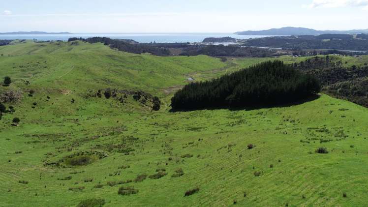 211 Parapara Road Taipa_7