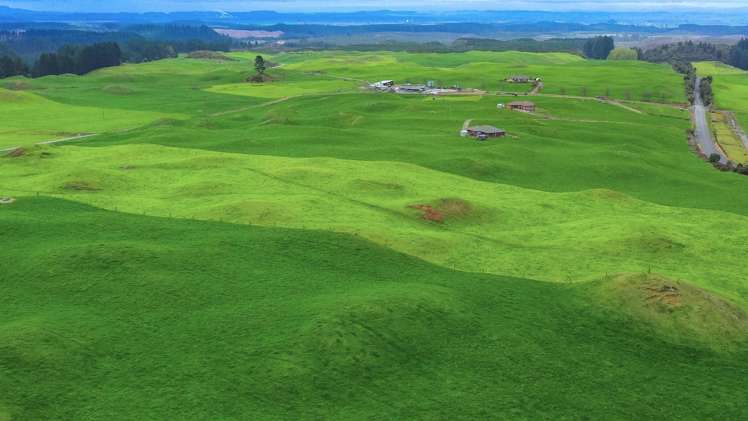 902 Galaxy Road Tokoroa_7