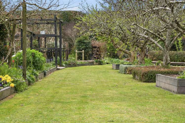 5 Huse Lane Te Puke_23