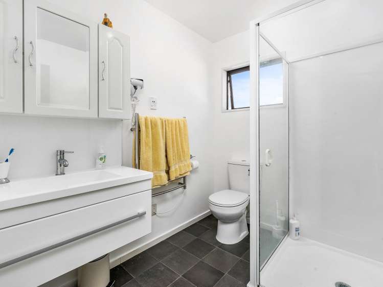 101a Mcbride Street Frankton_13