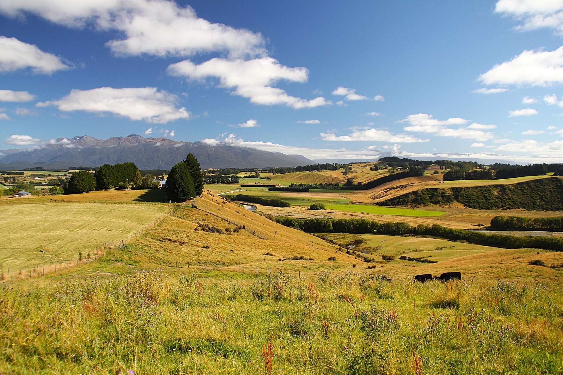 93 Ridgedale Road Te Anau_0