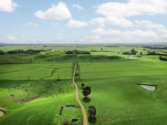 2048 State Highway 50 Ongaonga_4