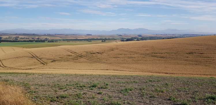 49 Robinson Road Pleasant Point_9