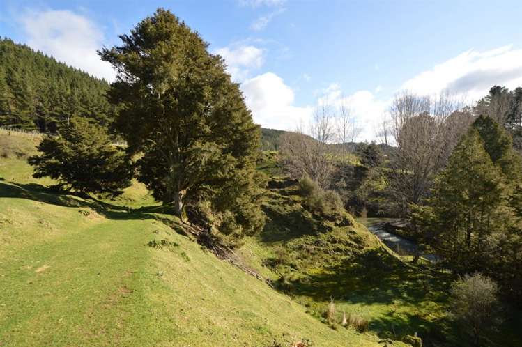 1513 Hikumutu Road Taumarunui_29