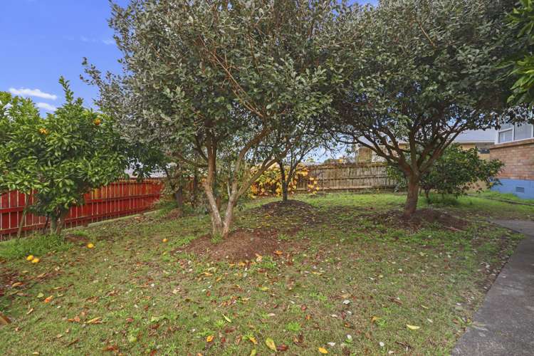 43 Sain Crescent Morrinsville_12