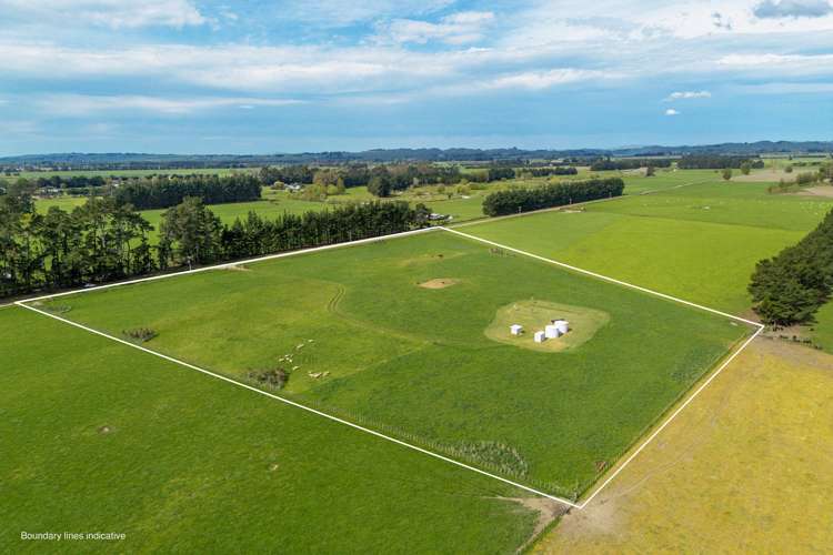 162 Taylor Road Ongaonga_2