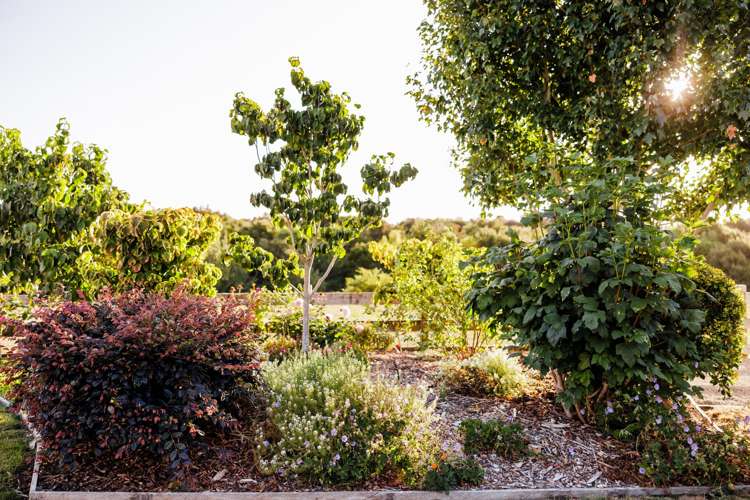 45 Alan Livingston Drive Cambridge_5