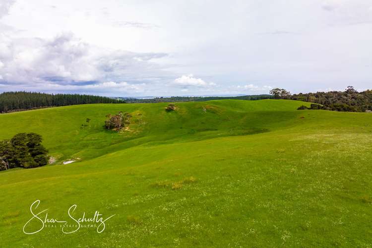 1509 Tinopai Road Tinopai_13