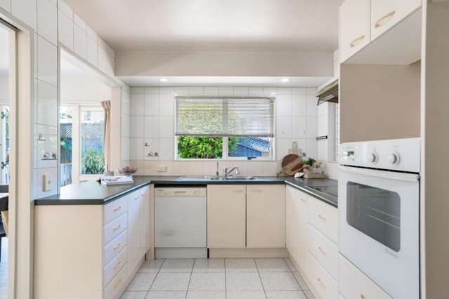 223a Mount Albert Road Wesley_4