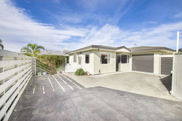 176a Guppy Road Taradale_3