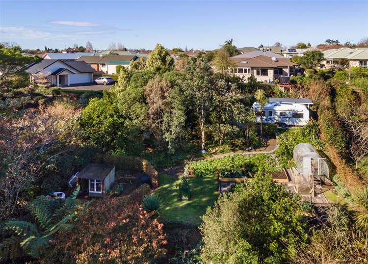 12 Lansdowne Road Katikati_19