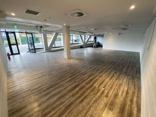 Tenancy 9/4 Williamson Avenue Ponsonby_3