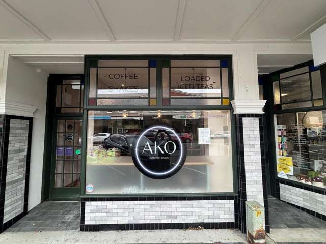 133 Jackson Street Petone_2