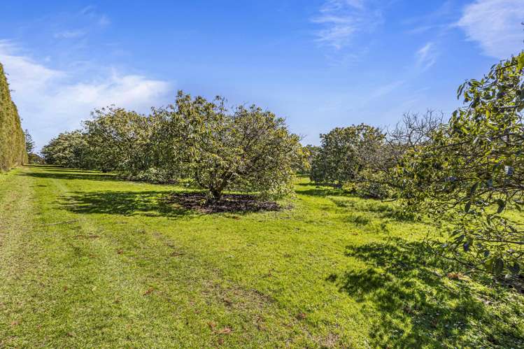 105 Mairetahi Road South Head_21