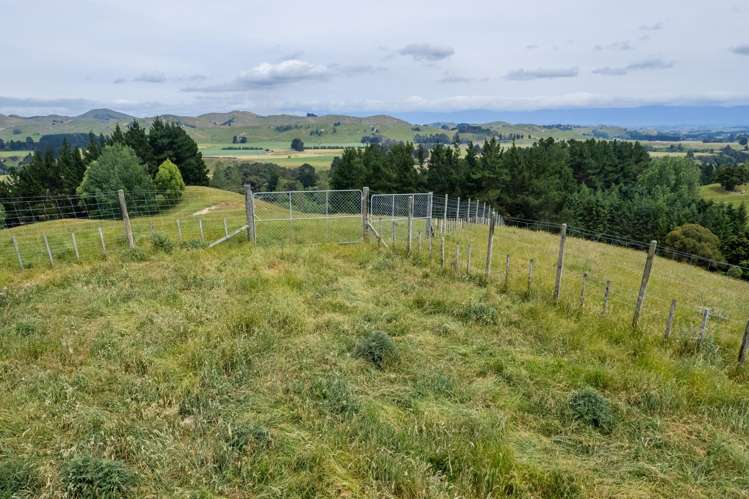 196 Ngapaeruru Road Dannevirke_10