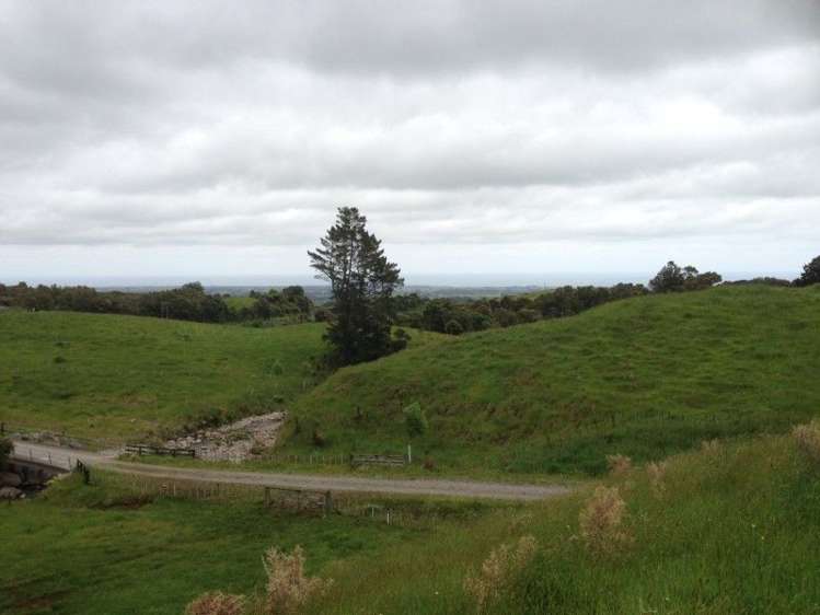 799 Dover Road Okato_14