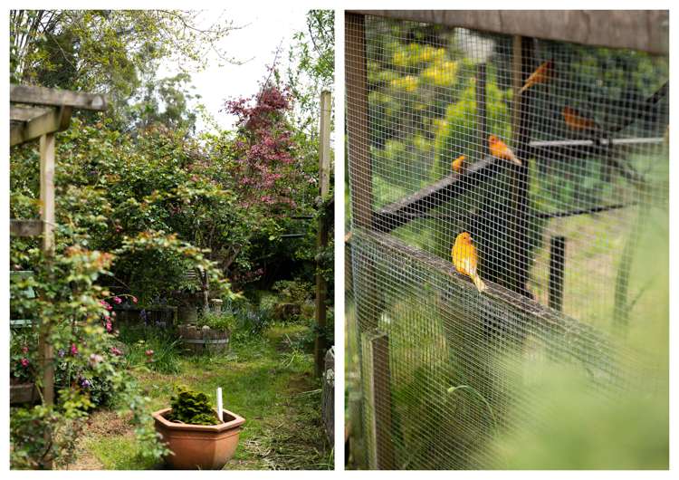 42a Junction Road Paeroa_30