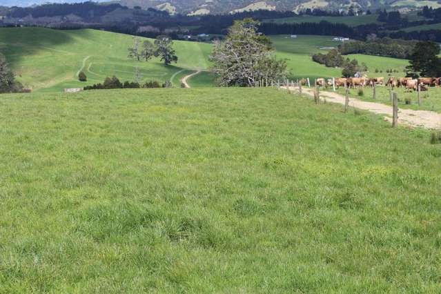 354 Tapuhi Road Hukerenui and Surrounds_4