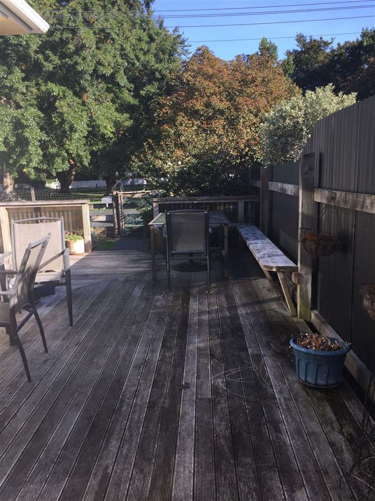 7 Bull Street Bulls_10