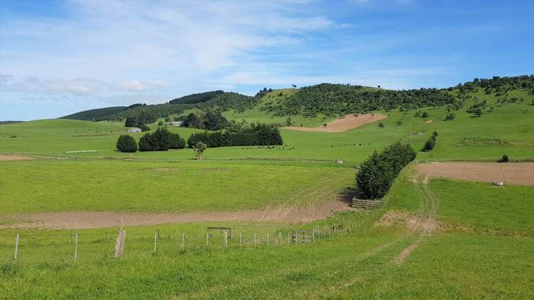 2000 Hillfoot Road Catlins Surrounds_9