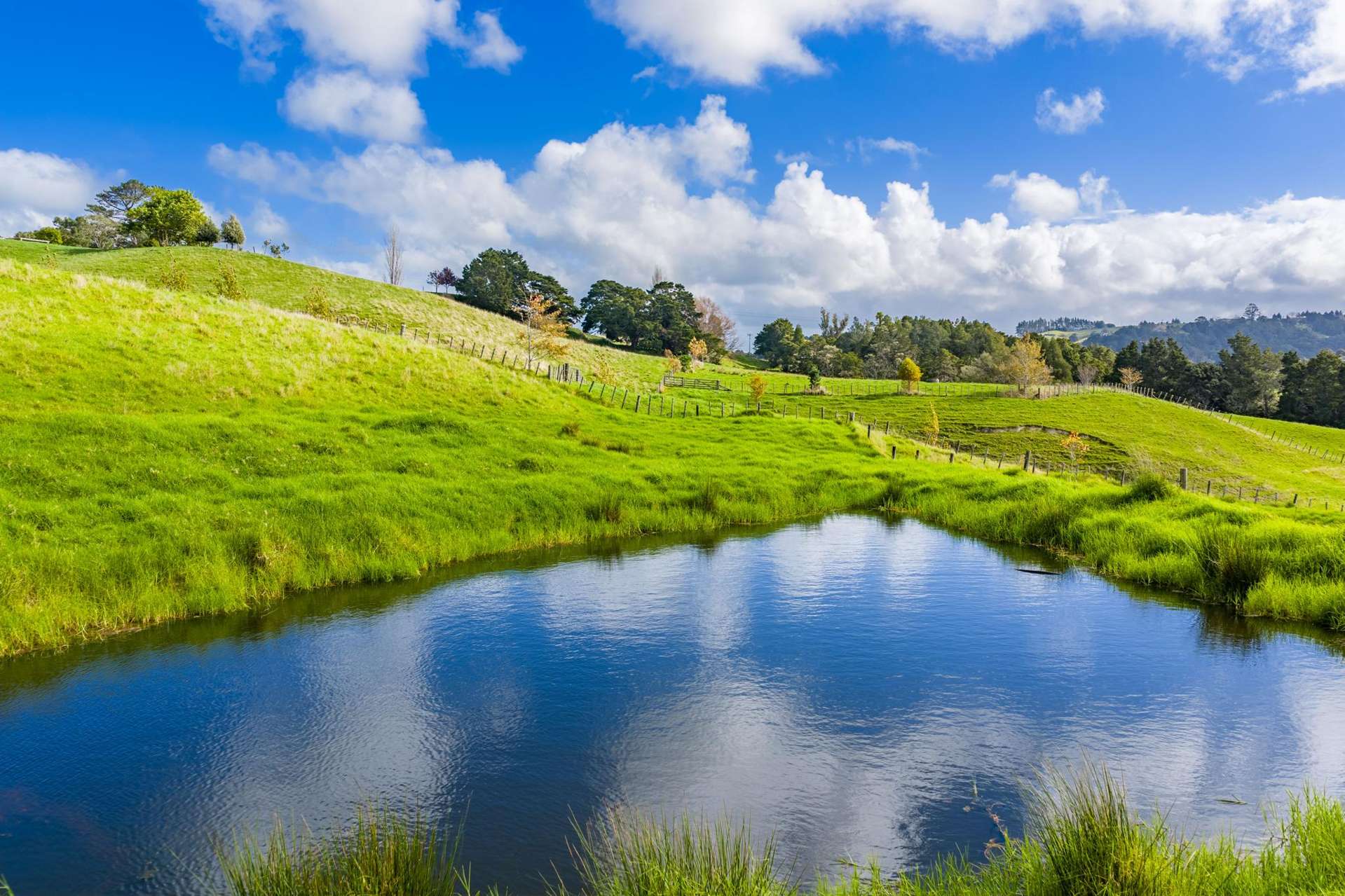 118 Paparoa Station Road Paparoa_0