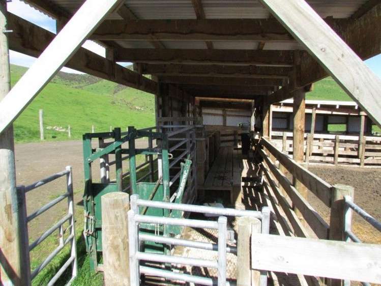 1477 Waimea Valley Road Gore Surrounds_12