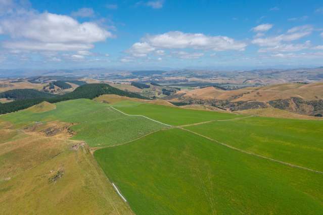 324 Reeces Road Waipara_2