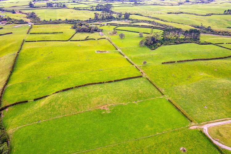 565 Climie Road Cardiff_5