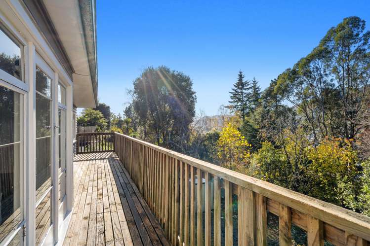 39 Thompson Terrace Toi Toi_14