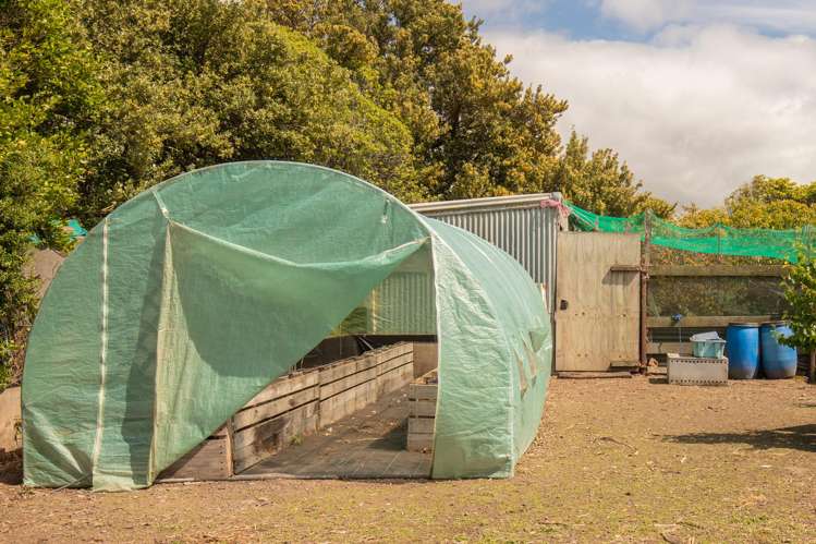 347 Waimate Highway Saint Andrews_21