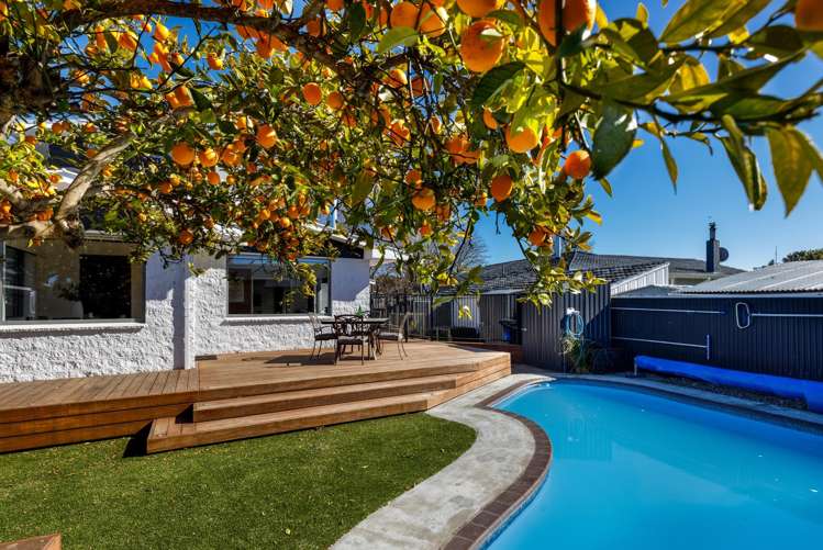 19 Leefield Street Blenheim_24