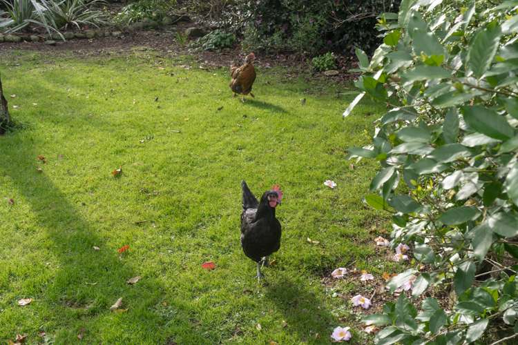 195 Gordon Street Masterton_15