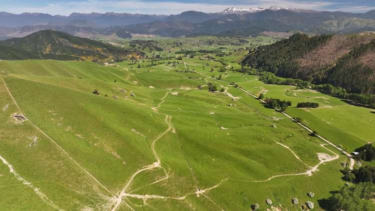 200 Upper Stanley Brook Stanley Brook_28