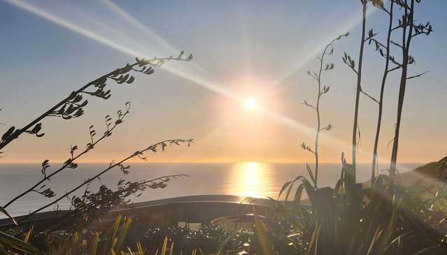 56/685 Karioitahi Road Waiuku_3